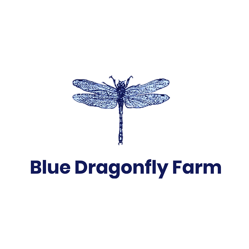 bluegragonfly.jpg
